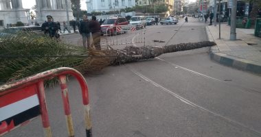 صور.. الطقس السيئ يضرب الإسكندرية بنوة "الفيضة الكبرى"
