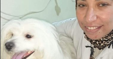"الكلاب السعيدة" مشروع دكتورة بيطرية لعلاج الكلاب جوة وبرة مصر ببلاش