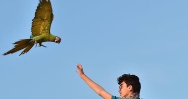 30 طائر نادر بحديقة الجبيل السعودية للترحيب بالزوار ضمن برنامج "هلا بالإجازة"