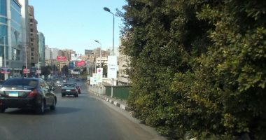 مناشدة بتقليم أفرع أشجار تخرج من سور كوبرى أكتوبر باتجاه البطل أحمد عبد العزيز