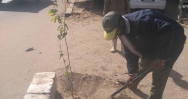 تفاصيل إطلاق مبادرة زراعة الأشجار المثمرة الموفرة بشوارع وميادين الأقصر