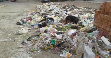 قارئ يشكو انتشار القمامة بشارع مدرسة الريادة بسموحة فى الإسكندرية