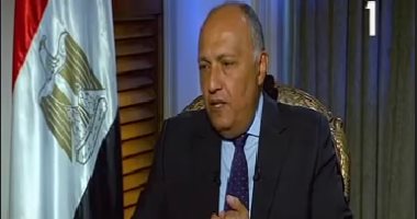 فيديو.. سامح شكرى: ندعو الدول العربية للعمل المشترك لدحر الجماعات الإرهابية