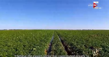 "كل يوم" يعرض تقريرا حول التنمية الزراعية المتكاملة بمصر منذ تولى الرئيس الحكم