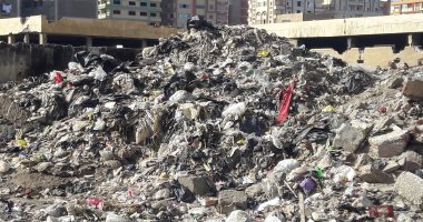 اضبط مخالفة.. القمامة والكلاب الضالة تحاصر سكان "الضواحى" ببورسعيد