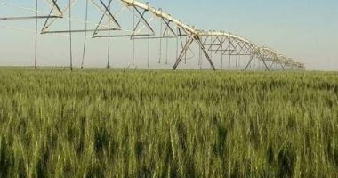 محافظ الوادي الجديد يعلن إضافة 130 ألف فدان للرقعة الزراعية بالمحافظة