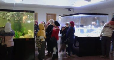 صور.. 200 شاب وفتاة من 9 محافظات يزورون متحف النيل بأسوان