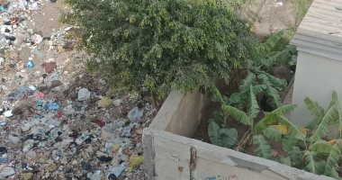 القمامة تحاصر سور مدرسة توفيق الحيكم الإعدادية بالحى العاشر بمدينة نصر