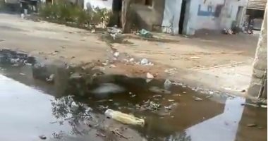 قارئ يشكو من انتشار مياة الصرف الصحى بمدينة السادت محافظة المنوفية