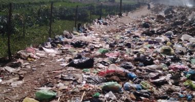 قارئ يشكو من انتشار القمامة بمدخل قرية أبشيش مركز الباجور