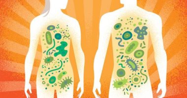 اعرف جسمك.."الميكروبيوم" كائنات حية دقيقة تعيش بداخلك