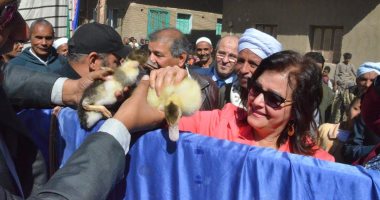 صور.. نائبة وزيرة الزراعة تزور قرى الأقصر
