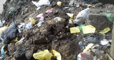 قارئ يشكو تراكم القمامة بمدخل قرية الحسايبة فى المنيا