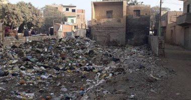 تراكم القمامة والحيوانات النافقة داخل ملعب قرية زاوية مصلوب فى بنى سويف