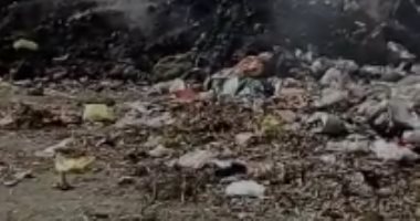  شكوى من انتشار القمامة وحرقها بقرية عرب المدابغ فى أسيوط