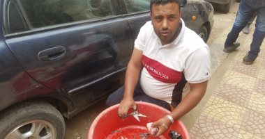 صور.. "محمد" صياد منذ 20 عاما: "مصر حالها اتحسن وياريت الشباب تنزل تشتغل"