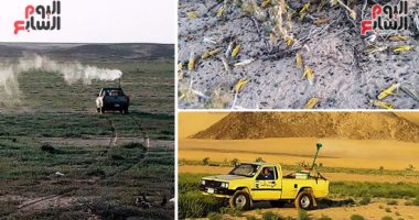 الزراعة: تكثيف المسح والاستكشاف لتتبع حوريات الجراد بالمناطق الحدودية