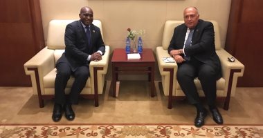 سامح شكرى يبحث مع وزير خارجية سيراليون أولويات الرئاسة المصرية للاتحاد الأفريقى