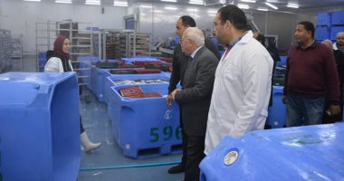 محافظ بورسعيد: افتتاح أكبر مصنع لإنتاج إطارات السيارات وزيت الطعام منتصف العام