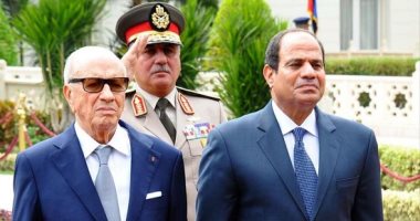 الرئيس التونسى يؤكد قدرة السيسى على القيام بعمل كبير تجاه إفريقيا