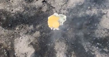 شاهد.. مزارعون يطهون البيض على الأرض بعد ارتفاع درجات الحرارة فى أستراليا