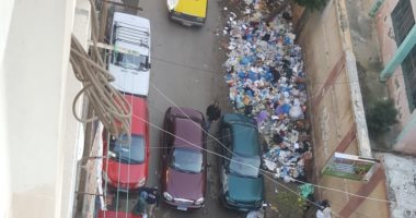 قارئ يشكو من انتشار القمامة ووجود نباشين بمنطقة كامب شيزار الإسكندرية