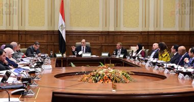 تضامن النواب: مصر حققت نجاحات تحت قيادة السيسي بمواجهة الهجرة غير الشرعية 