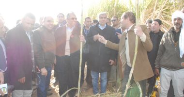 وزير الزراعة يبحث زراعة القصب بالشتلات والرى تحت التربة لأول مرة