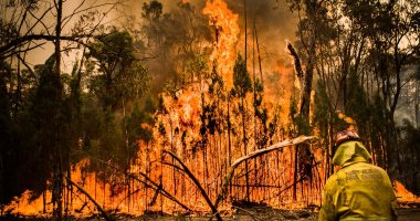 "ملحمة كبيرة".. شاهد رجال الإطفاء يواجهون النيران فى غابات أستراليا