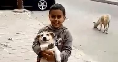 فيديو.. الرحمة مش بالسن ولا التعليم.. أطفال يطعمون كلاب الشوارع