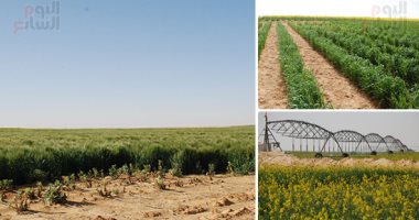 تعميم نظم الرى الحديث واستنباط محاصيل أقل استهلاكا للمياه بموسم الزراعات الصيفية