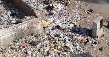 قارئ يشكو من انتشار القمامة بشارع بالحى العاشر فى مدينة نصر