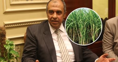 وزير الزراعة: هامش ربح شركات السكر من طن القصب لا يصل إلى 100 جنيه