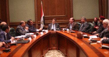 الشئون الإفريقية بالبرلمان تطالب بإنشاء مجلس أعمال مصرى – أفريقى