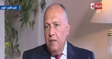 فيديو.. وزير الخارجية: انعقاد القمة العربية الأوروبية على أرض مصر تقدير لمكانتنا