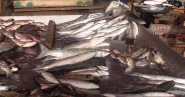 ارتفاع أسعار الأسماك بدمياط 30% بسبب توقف أغلب مراكب الصيد لبرودة الجو