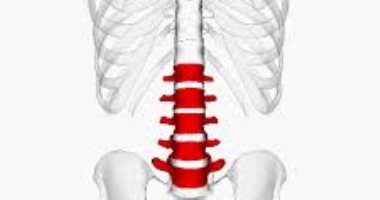 اعرف جسمك.. الفقرات القطنية حامل الجزء العلوى للجسم وحارس الحبل الشوكى