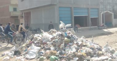 قارئ يشكو من انتشار القمامة فى قرية صهرجت الكبرى بميت غمر دقهلية