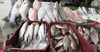 تعرف على أسعار الأسماك بسوق العبور للجملة اليوم الثلاثاء