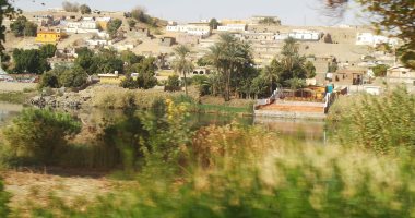 صور.. وزيرة البيئة تتابع أعمال تطوير الحديقة الدولية الاستوائية بأسوان