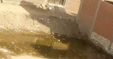 انتشار المياه صرف الصحى بقرية كوم أشفى بالقليوبية يهدد بانهيار المنازل