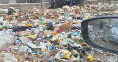 شكوى من انتشار القمامة والكلاب الضالة بمطلع كوبرى مؤسسة الزكاة الجديد