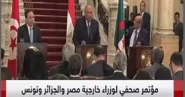 وزير خارجية تونس: من القاهرة ندعو الليبيين لإيجاد حل سلمى بعد تدهور الأوضاع