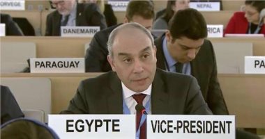 السفير علاء يوسف: تقرير الحق فى السكن عن مصر اعتمد على مصادر مسيسة