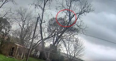 كاميرا مراقبة تظهر اللحظات الأولى لسقوط طائرة فى ولاية تكساس 