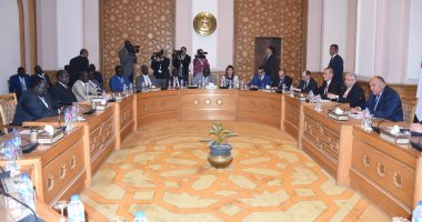 وزير الخارجية يؤكد على دعم مصر للسلام والاستقرار فى جنوب السودان