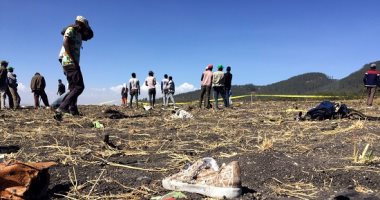 كوريا الجنوبية تعزى فى ضحايا حادث تحطم الطائرة الإثيوبية