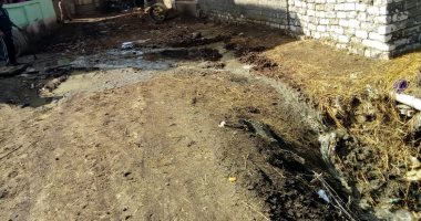 شكوى من انتشار مياه الصرف الصحى بقرية أبو بسيونى بالغربية