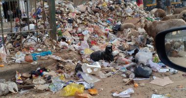 قارئ يشكو من انتشار القمامة أمام مطلع كوبرى عزبة النخل الجديد