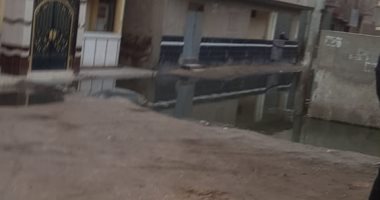 فيديو.. شكوى من انتشار مياه الصرف ونقص الخدمات الصحية بقرية الجابرية بالغربية